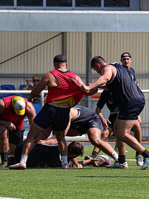 Media 'N89A7803.jpg' in album '14/07/2026 - Entrainement Lesdiguières'